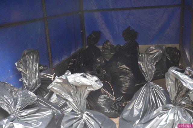 Decyzją Powiatowego Lekarza Weterynarii, w poniedziałek, 4 stycznia w Starym Wielisławiu i Szalejowie Dolnym rozpoczęto eutanazję drobiu.