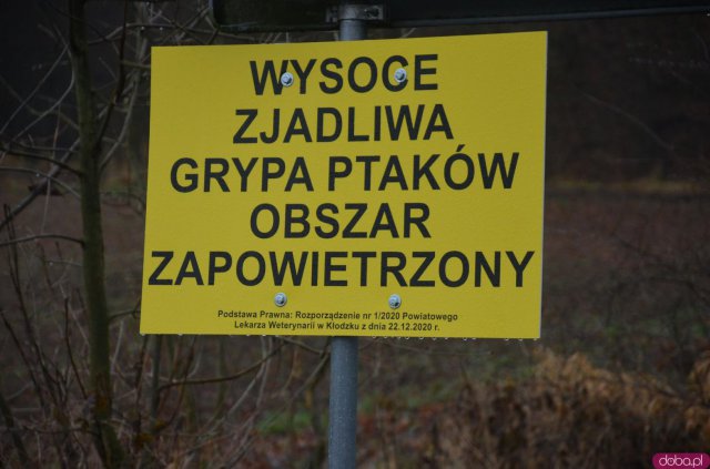 Decyzją Powiatowego Lekarza Weterynarii, w poniedziałek, 4 stycznia w Starym Wielisławiu i Szalejowie Dolnym rozpoczęto eutanazję drobiu.