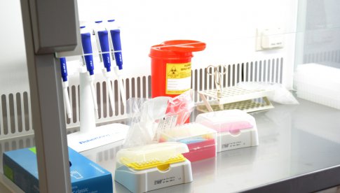 Aktualne dane dotyczące sytuacji epidemiologicznej w powiecie kłodzkim