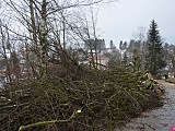 W dniach 2 i 3 lutego 2021 roku w godzinach od 8-16 przy ul. Kołłątaja w Szczytnej będzie prowadzona wycinka drzew.
