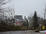 W dniach 2 i 3 lutego 2021 roku w godzinach od 8-16 przy ul. Kołłątaja w Szczytnej będzie prowadzona wycinka drzew.