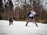 W piątek, 26 marca na obiekcie Tauron Duszniki Arena rozegrane zostały zawody w wyścigach psich zaprzęgów