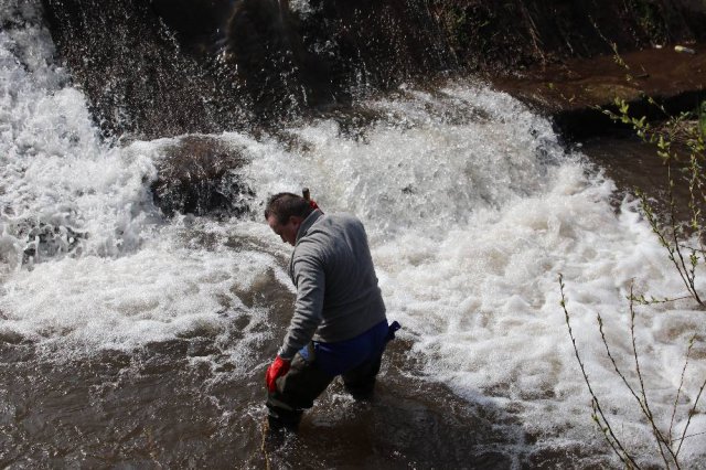 Sprzątanie rzeki Klikawy w Kudowie Zdrój