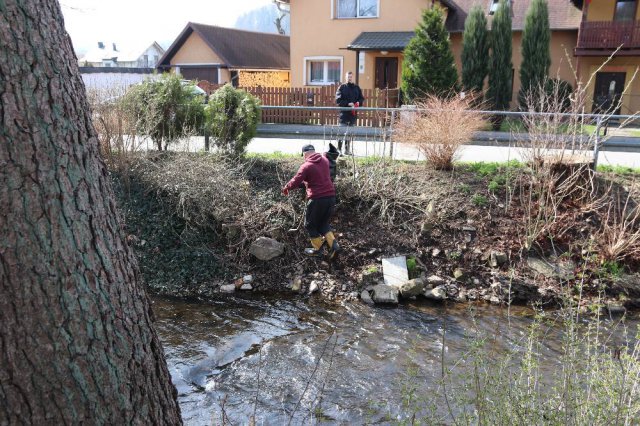 Sprzątanie rzeki Klikawy w Kudowie Zdrój