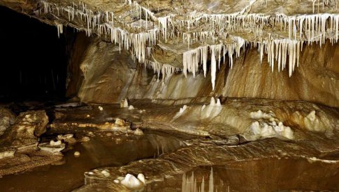 Jaskinia Niedźwiedzia w Kletnie będzie dostępna dla turystów od 30 kwietnia 2021r. 