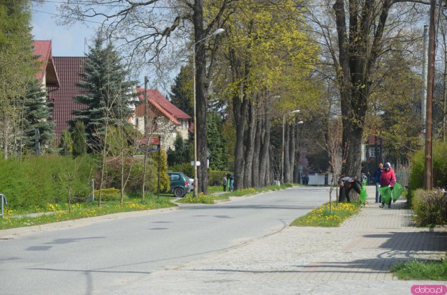 Akcja sprzątania miasta Polanica dla Ziemi[Foto]