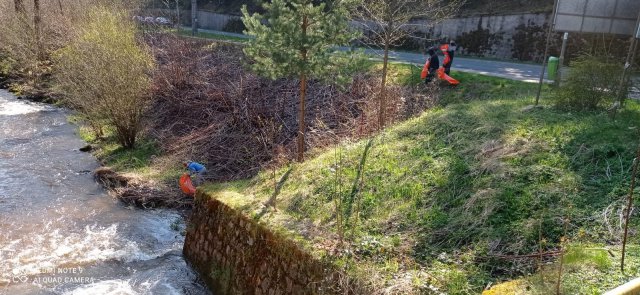 Akcja sprzątania miasta Polanica dla Ziemi[Foto]