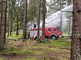 Ćwiczenia zakładały gaszenie pożaru lasu w leśnictwie Spalona Dolna.