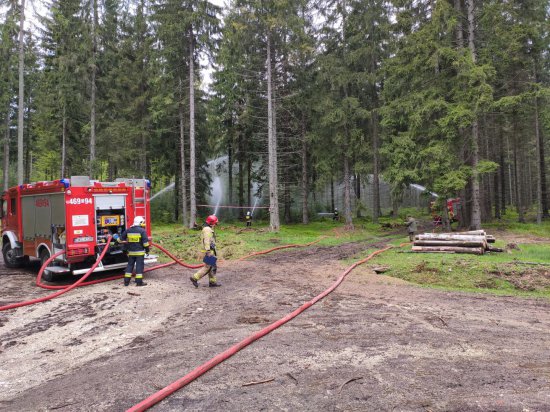 Ćwiczenia zakładały gaszenie pożaru lasu w leśnictwie Spalona Dolna.