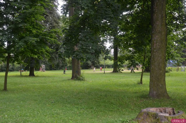 Park przy ul. Św. Wojciecha w Kłodzku przejdzie rewitalizację. Miasto otrzymało blisko 5 mln zł na realizację inwestycji w zakresie zielono-niebieskiej infrastruktury