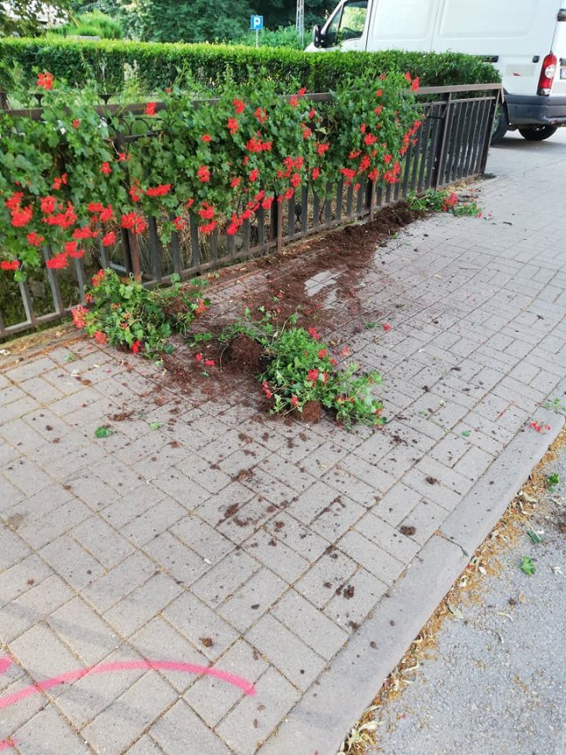 Kolejny akt wandalizmu w Dusznikach-Zdroju. Tym razem zniszczone zostały donice z kwiatami na moście przy Placu Warszawy.