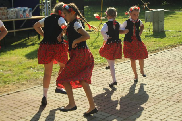 grafika