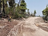 cji. Działania prowadzone są na wyspie Evia, gdzie sytuacja pożarowa jest bardzo trudna.