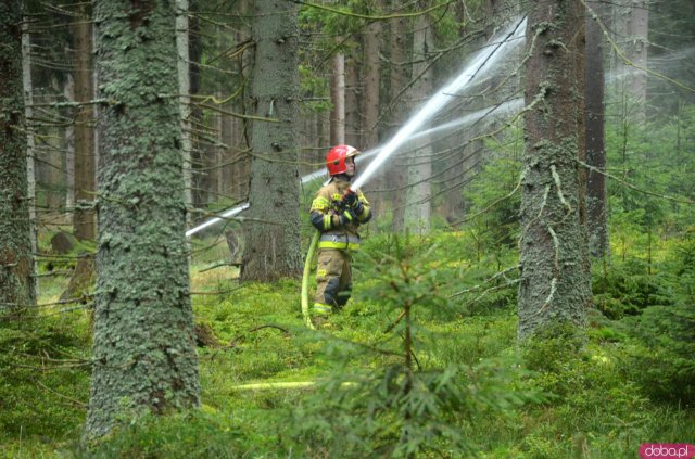 Powiatowe Ćwiczenia Ratowniczo-Gaśnicze Wolarz 2021 