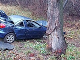 Kierująca z nieustalonych przyczyn zjechała z drogi i uderzyła pojazdem w drzewo.