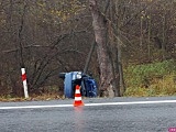 Kierująca z nieustalonych przyczyn zjechała z drogi i uderzyła pojazdem w drzewo.