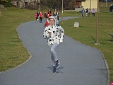 Już po raz siódmy z okazji Narodowego Święta Niepodległości w Szczytnej zorganizowany został Bieg Niepodległości.