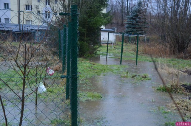 Bobry zbudowały tamę. Bystrzyca Dusznicka wystąpiła z koryta [Foto, Wideo]