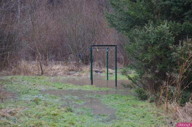 Bobry zbudowały tamę. Bystrzyca Dusznicka wystąpiła z koryta [Foto, Wideo]