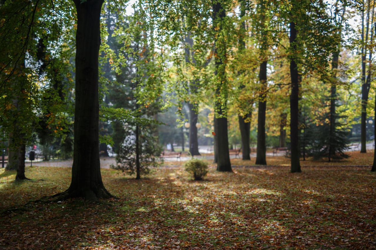 Polanica-Zdrój inwestuje w ochronę środowiska i wsparcie klimatu