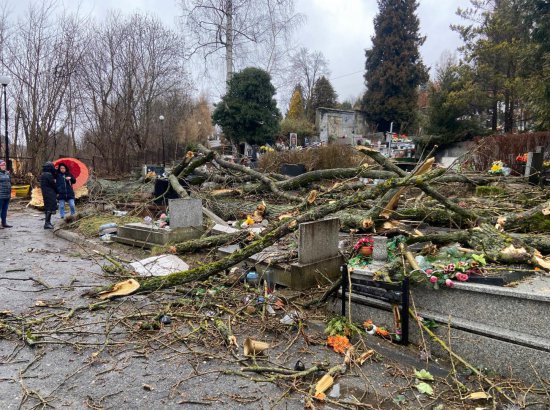 Duszniki-Zdrój: drzewo spadło na nagrobki na cmentarzu komunalnym 