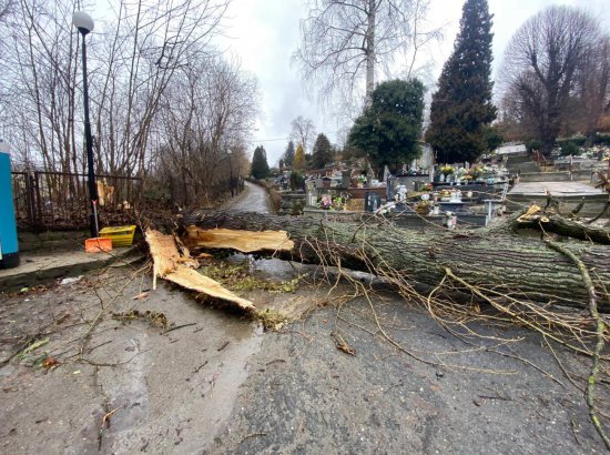 Duszniki-Zdrój: drzewo spadło na nagrobki na cmentarzu komunalnym 