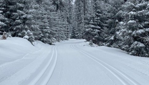Gmina Stronie Śl., Góry Bialskie: Komunikat dla narciarzy biegowych
