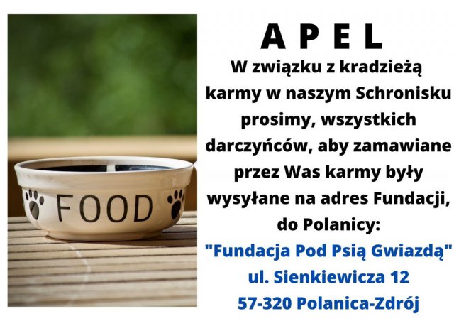 Włamanie i kradzież w kłodzkim schronisku. Trwa zbiórka na zakup karmy 