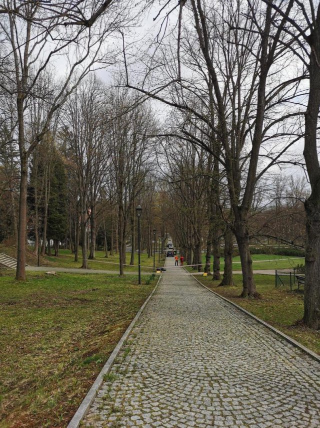 [FOTO] Rozpoczęły się prace przy rewitalizacji terenów zielonych w Polanicy-Zdroju