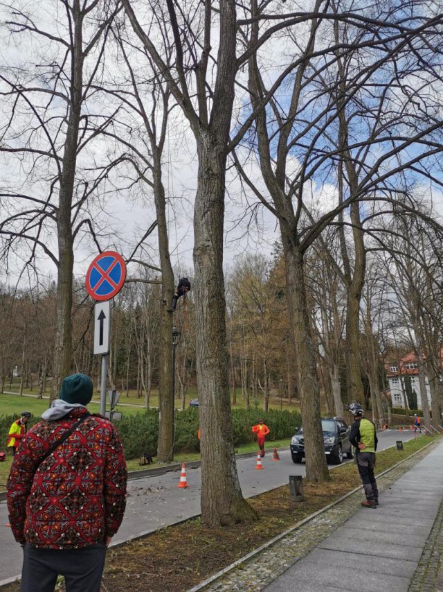 [FOTO] Rozpoczęły się prace przy rewitalizacji terenów zielonych w Polanicy-Zdroju