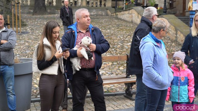 Powiatowe i Miejskie Obchody Święta Narodowego 3 maja [Foto]