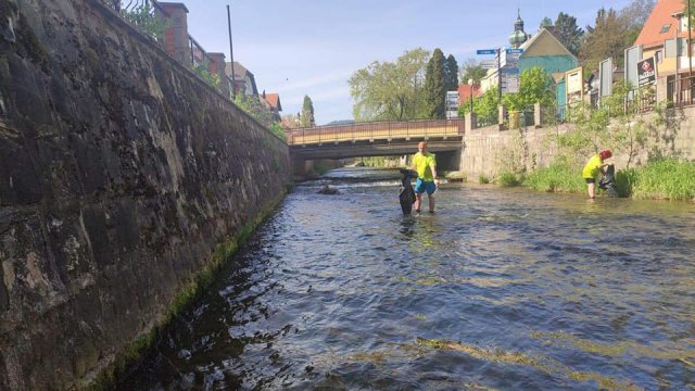 Polanica-Zdrój: wspólnie posprzątali koryto rzeki [Foto]