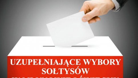 Wybory uzupełniające na sołtysa w Młynowie i Święcku