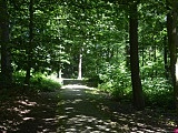 Polanica-Zdrój: najlepsze koncepcje dot. zagospodarowania Parku Leśnego nagrodzone [Foto]