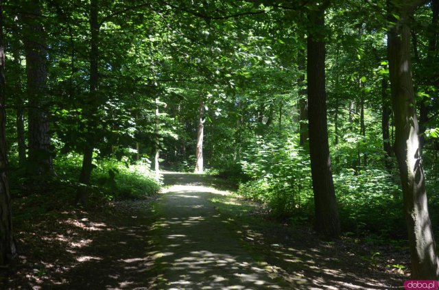 Polanica-Zdrój: najlepsze koncepcje dot. zagospodarowania Parku Leśnego nagrodzone [Foto]