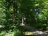 Polanica-Zdrój: najlepsze koncepcje dot. zagospodarowania Parku Leśnego nagrodzone [Foto]