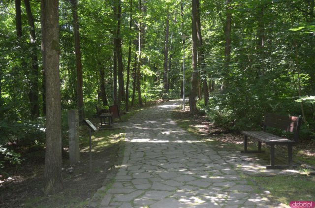 Polanica-Zdrój: najlepsze koncepcje dot. zagospodarowania Parku Leśnego nagrodzone [Foto]