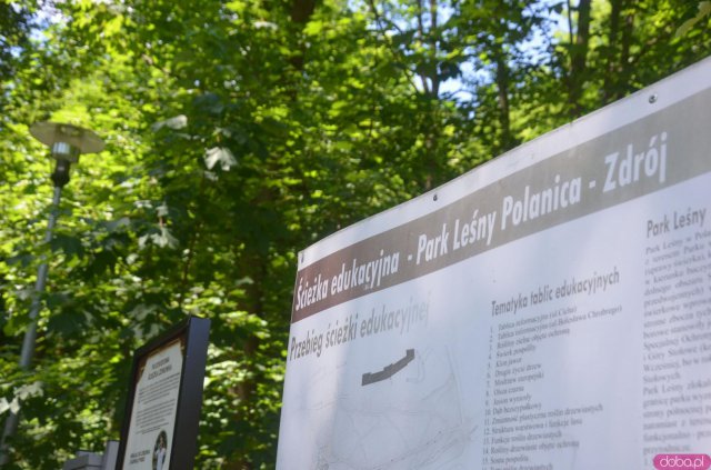 Polanica-Zdrój: najlepsze koncepcje dot. zagospodarowania Parku Leśnego nagrodzone [Foto]