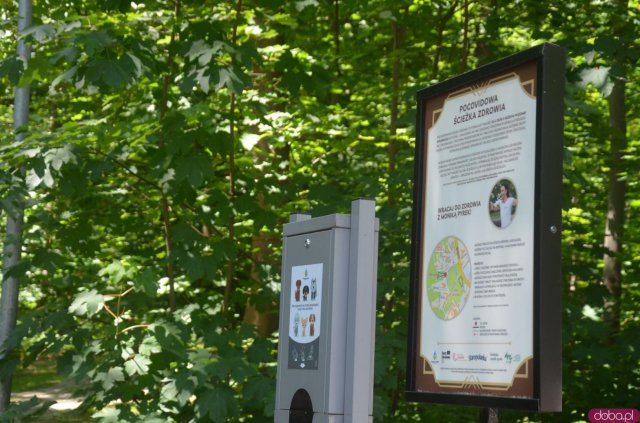 Polanica-Zdrój: najlepsze koncepcje dot. zagospodarowania Parku Leśnego nagrodzone [Foto]