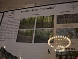 Polanica-Zdrój: najlepsze koncepcje dot. zagospodarowania Parku Leśnego nagrodzone [Foto]