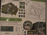 Polanica-Zdrój: najlepsze koncepcje dot. zagospodarowania Parku Leśnego nagrodzone [Foto]