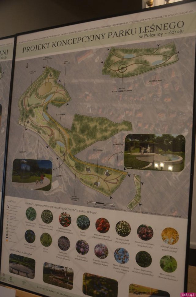 Polanica-Zdrój: najlepsze koncepcje dot. zagospodarowania Parku Leśnego nagrodzone [Foto]