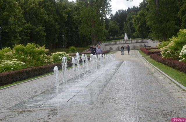 Polanicki Park Zdrojowy ozdobiły rzeźby i instalacje wykonane przez studentów Akademii Sztuk Pięknych we Wrocławiu. 