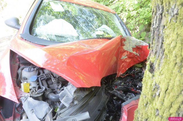 Wypadek w Łężycach. 5 osób poszkodowanych, w tym dzieci [Foto] 