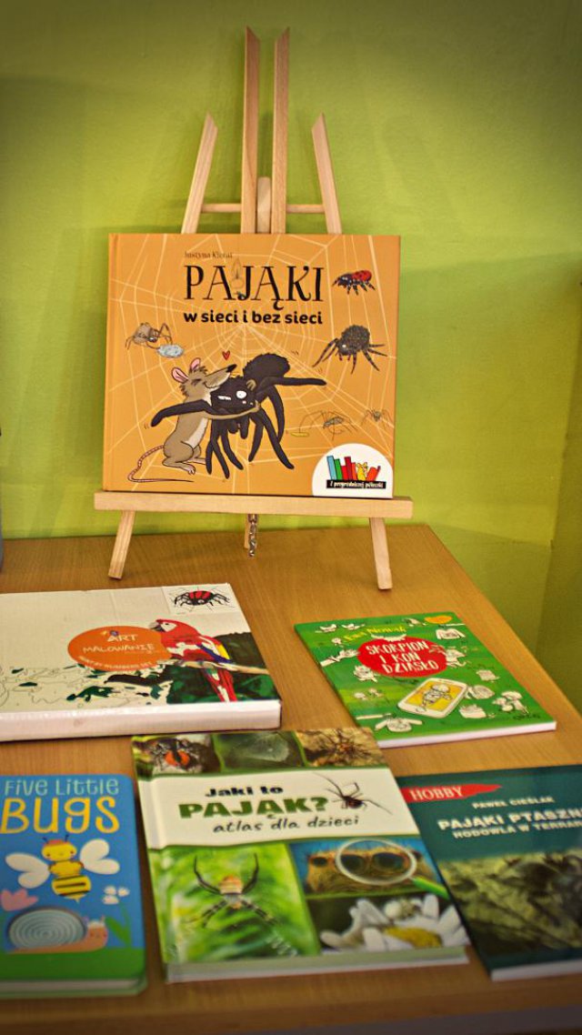 Pająki w Kłodzku