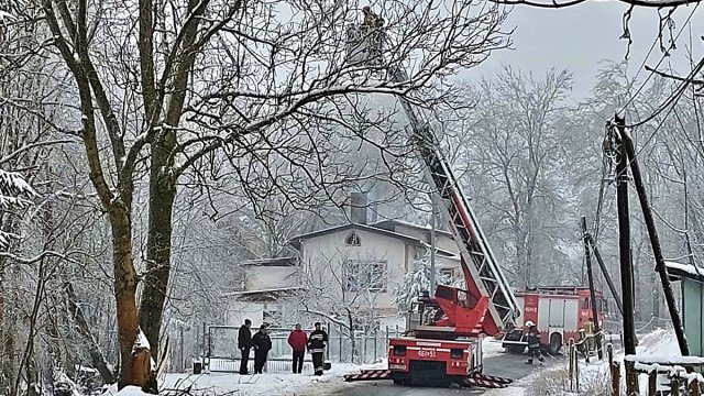 Słoszów, 25.1.2022