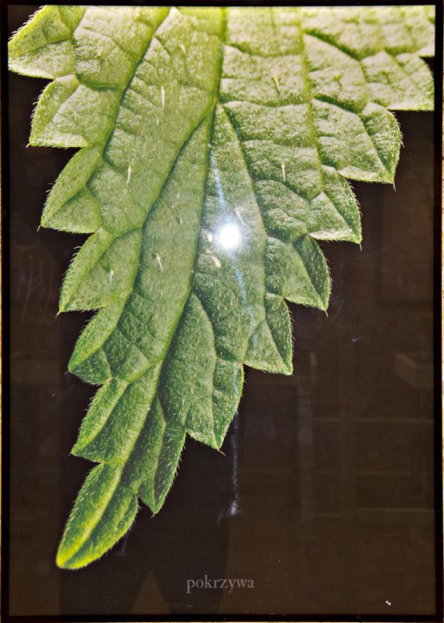 Muzeum Papiernictwa, 12.4.2023