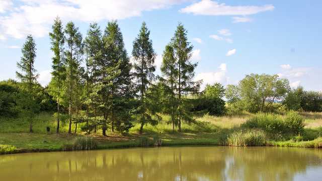 „Cuda wianki” w Roszycach, 25.6.2023
