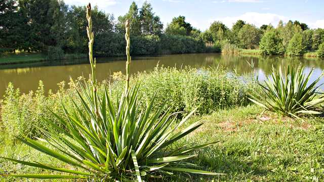 „Cuda wianki” w Roszycach, 25.6.2023