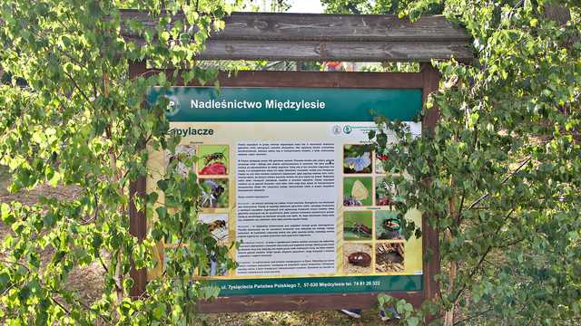 Międzylesie, 2.7.2023